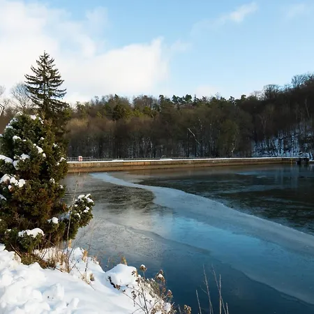 Lakeview In